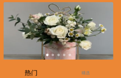 佑花苹果版