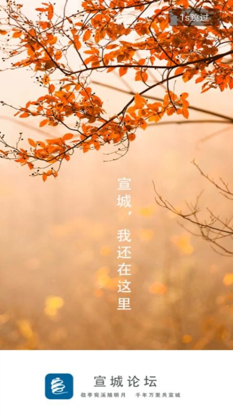 宣城论坛app