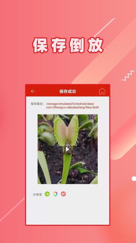 视频倒放免费版