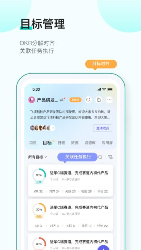飞项官网版