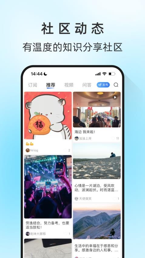 马兰花开官方版